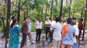 MP Seeks Revision of Arecanut Moisture Norms to Protect Dakshina Kannada Farmers