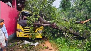 Mangaluru | Tree falls on moving school bus – five-year-old girl dies